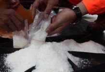 Selamatkan Indonesia Dari Darurat Narkoba